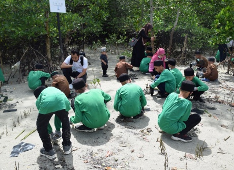 Beach Cleaning & Mangrove Seed Planting - 08