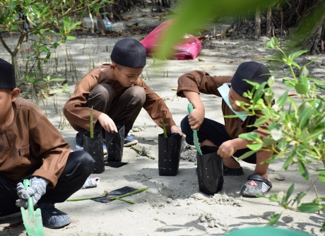 Beach Cleaning & Mangrove Seed Planting - 11