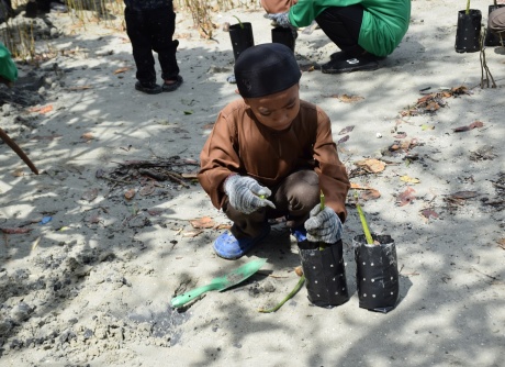Beach Cleaning & Mangrove Seed Planting - 12