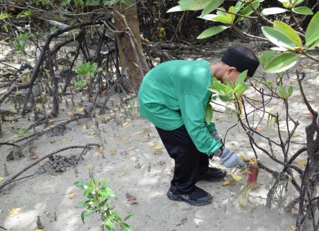 Beach Cleaning & Mangrove Seed Planting - 17