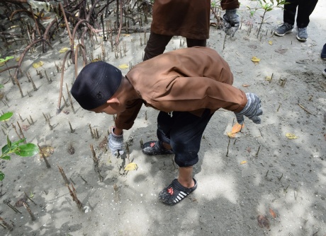 Beach Cleaning & Mangrove Seed Planting - 18