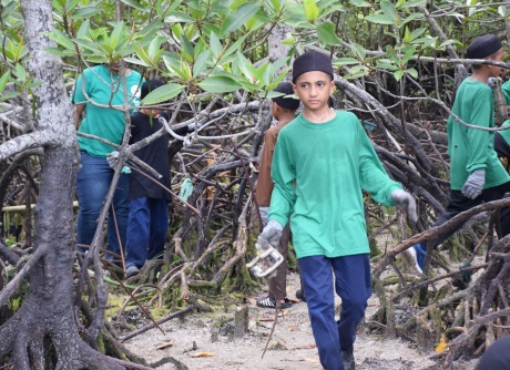 Beach Cleaning & Mangrove Seed Planting - 20