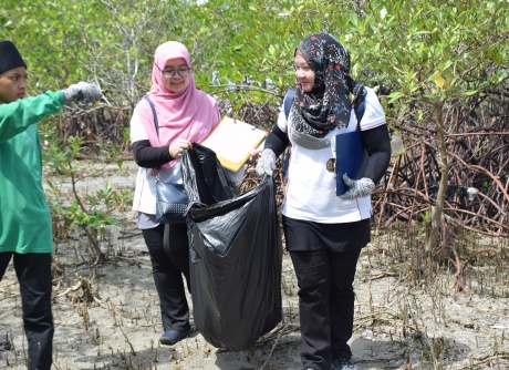 Beach Cleaning & Mangrove Seed Planting - 21