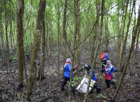 Mangrove Cleaning in Kuala Selangor