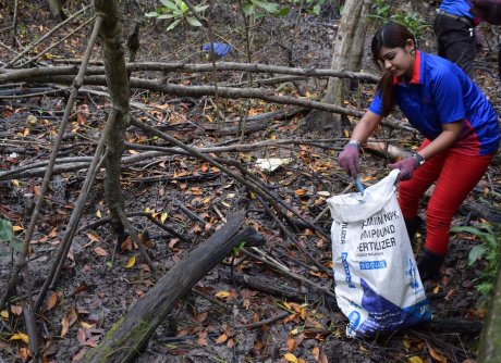Mangrove Cleaning in Kuala Selangor