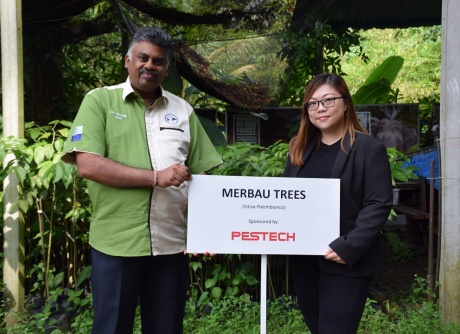 Donation of 100 Merbau Trees to MNS 