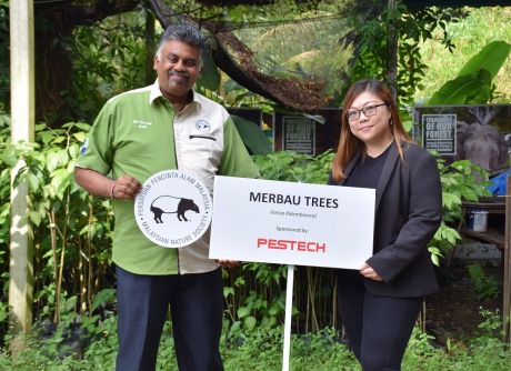 Donation of 100 Merbau Trees to MNS 