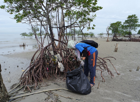 Beach Cleaning & Seed Harvesting in Bagan Lalang